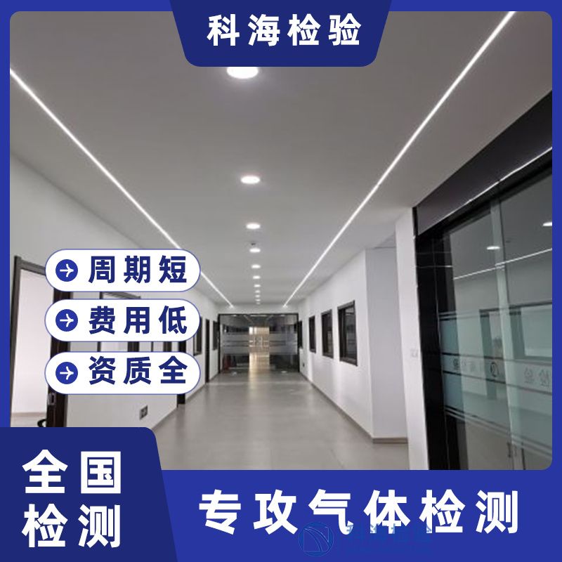 高純氨中雜質(zhì)檢測(cè)技術(shù):從氣相色譜到金屬離子分析